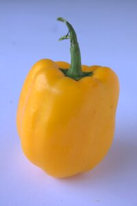Bell pepper vegetable food