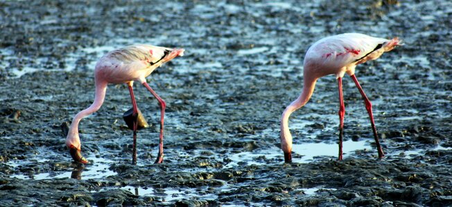 Ground sewri india