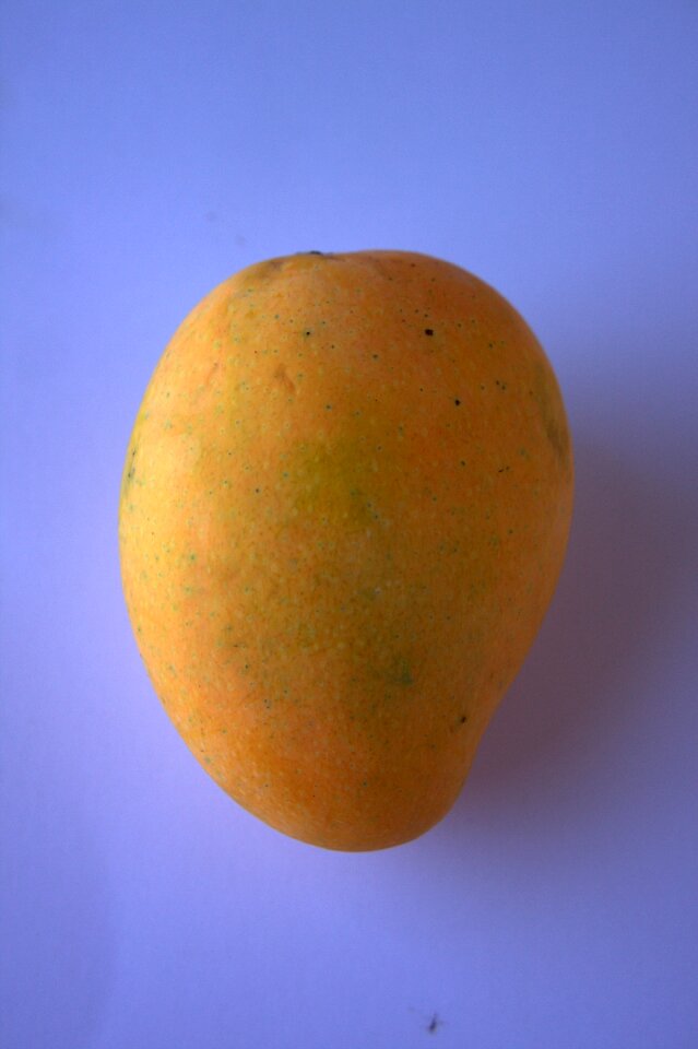 Tasty alphonso yellow