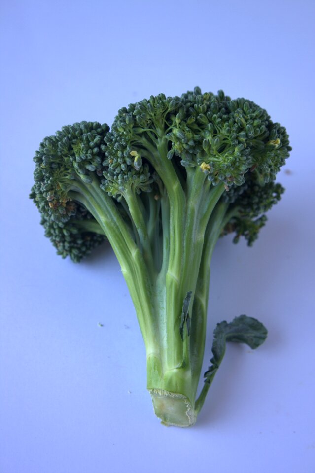Food diet green