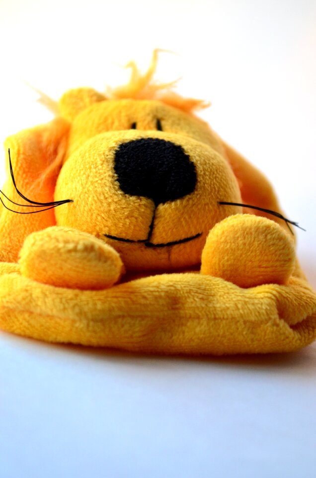Toy dog