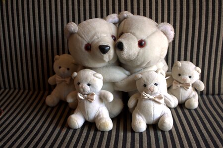 Bears happy family