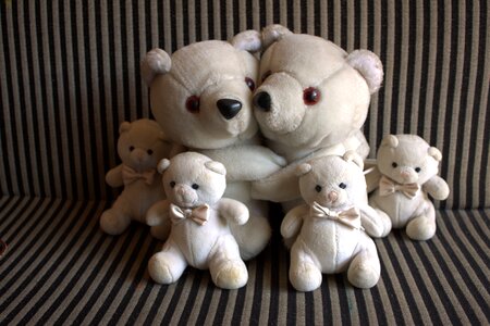 Bears happy family photo