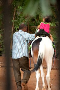 Equestrian girl horseback riding photo