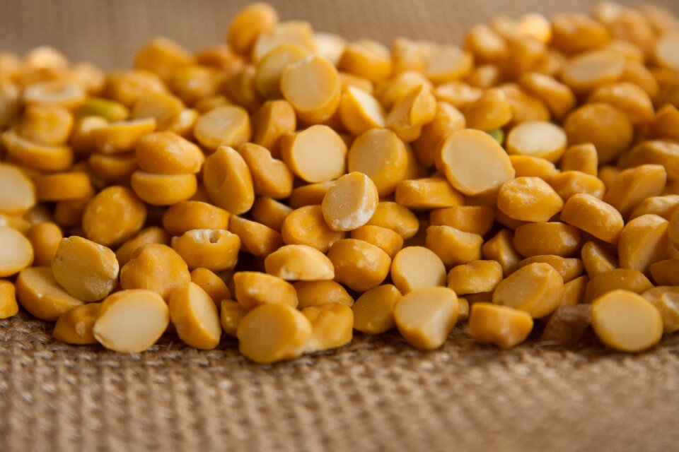Lentils indian cuisine