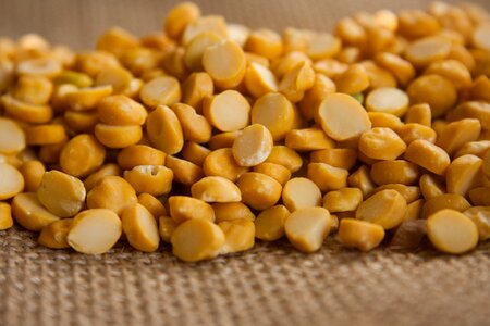 Lentils indian cuisine