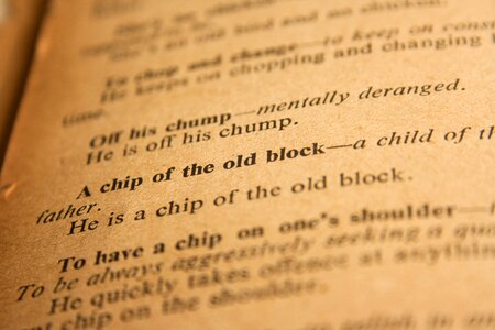 Dictionary vintage paper