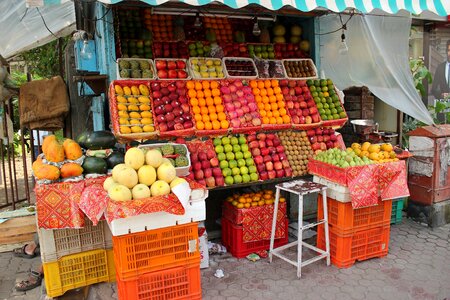 India vendor fruits photo