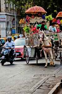 India traffic street photo