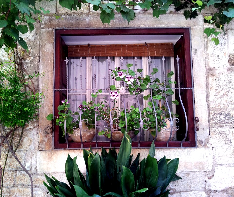House plant garden