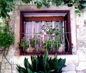 House plant garden