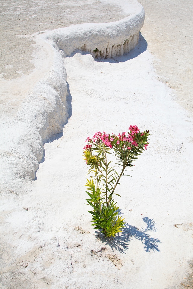 Dry empty environment