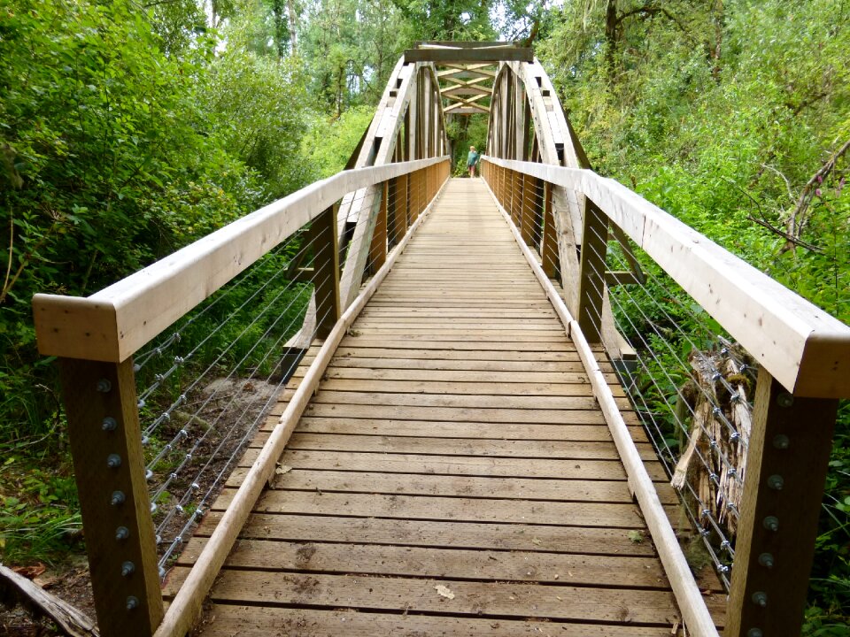 Structure park wooden