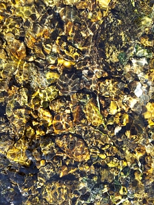 Pebbles foot nature
