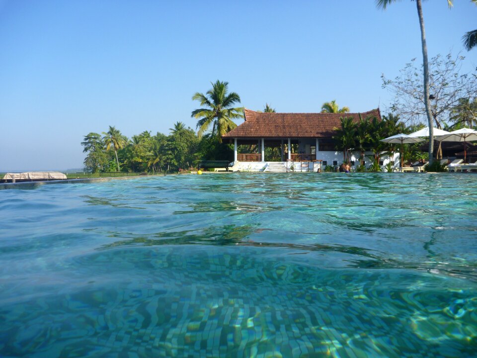 Swimming sea ocean