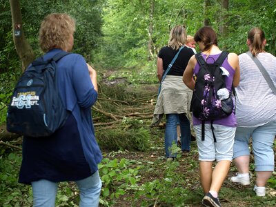 Personal human forest path