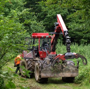 Machine forest tree cases