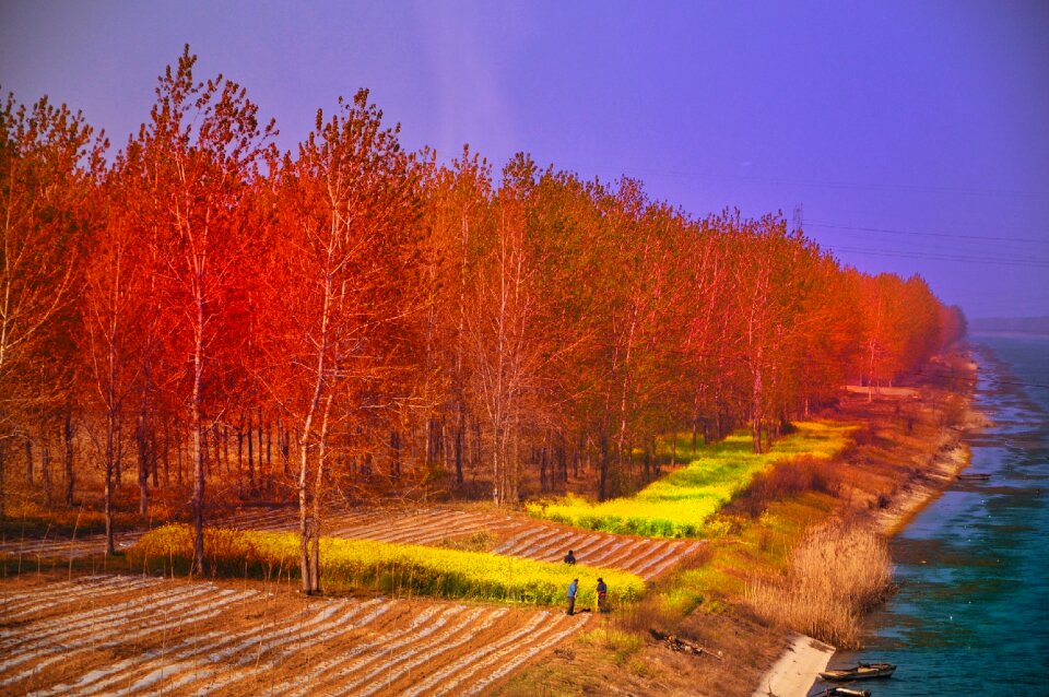 Spring colorful