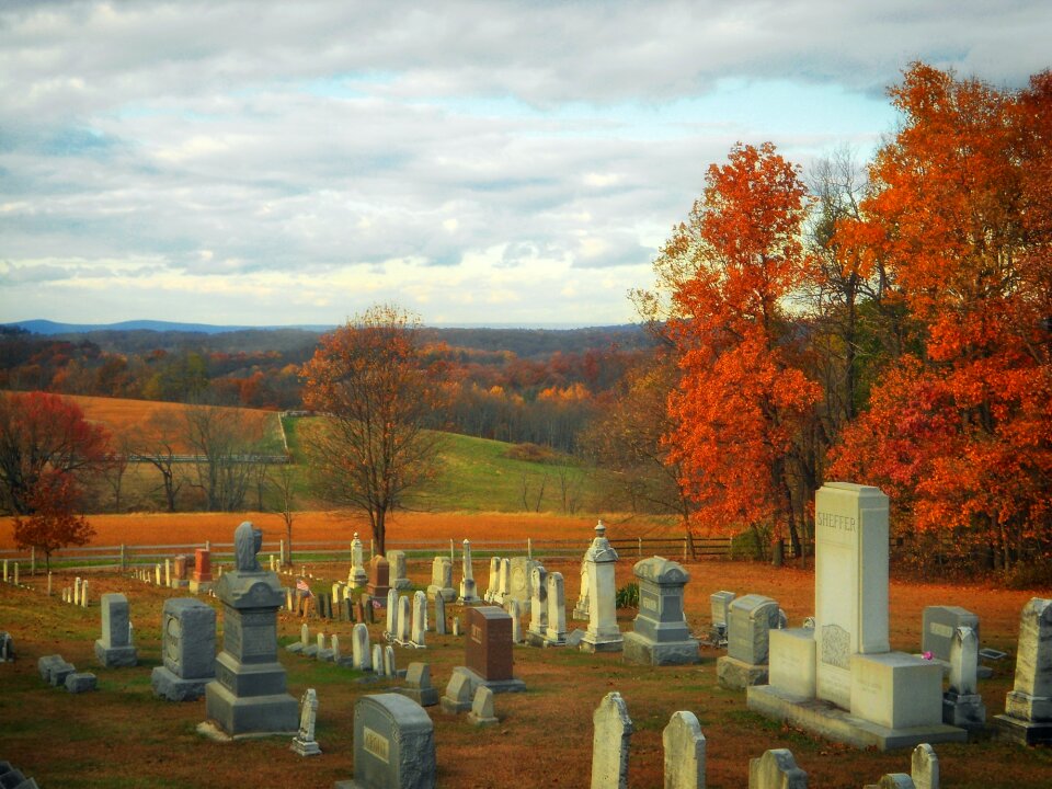 Autumn mills fall foliage