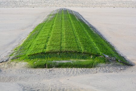 Breakwater beach green