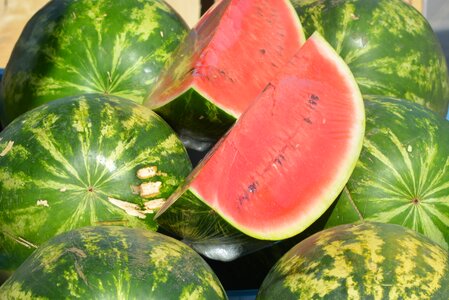 Melon fruit red melon