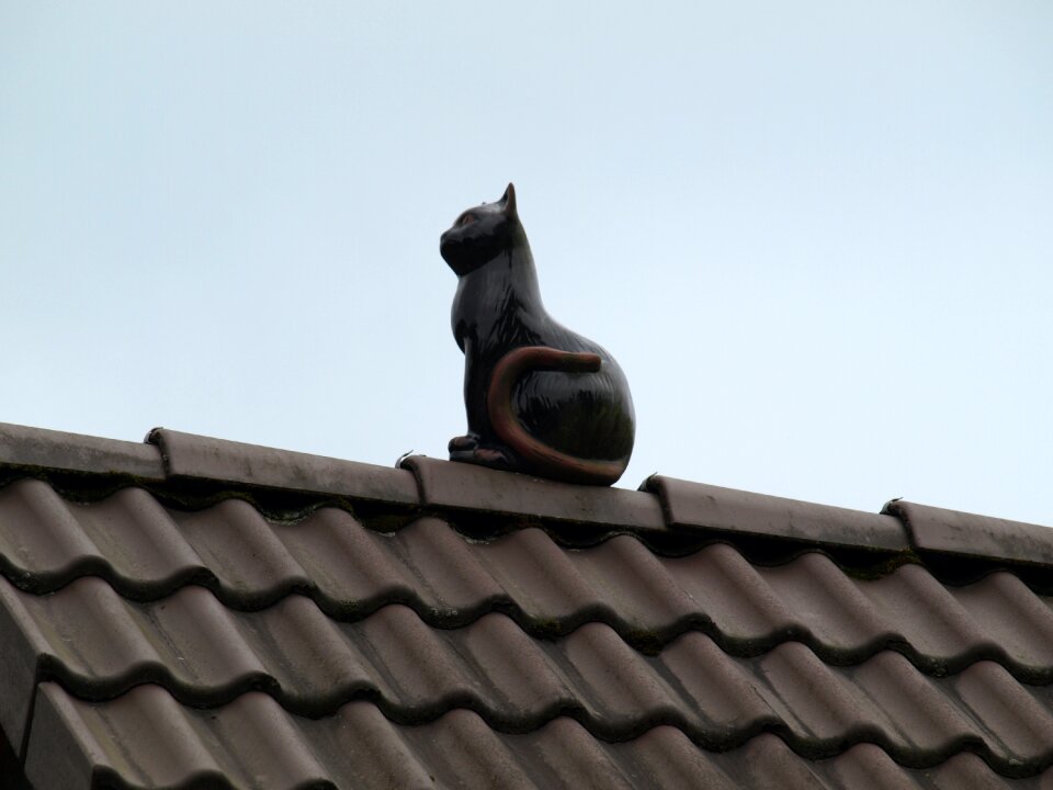 Roof figure decoration