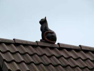 Roof figure decoration
