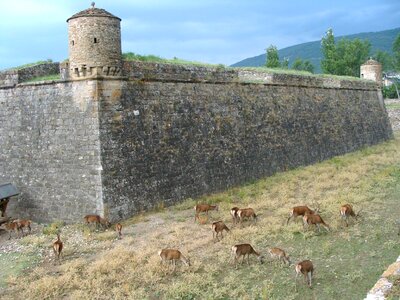 Jaca huesca jacetania