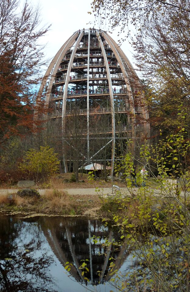 Forest bavarian forest national park observation tower