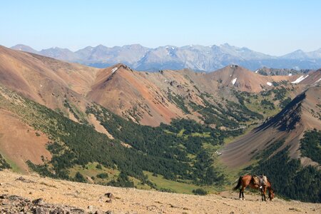 Blue sky horse windy pass