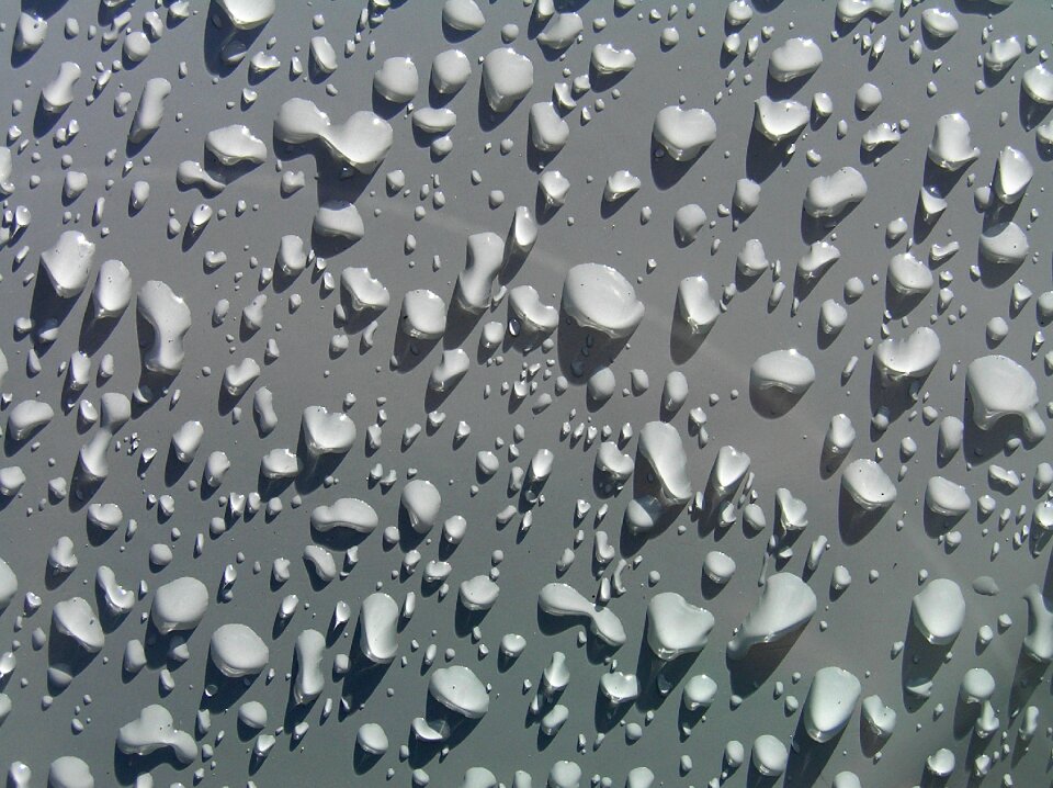 Drops drops with shadow dew