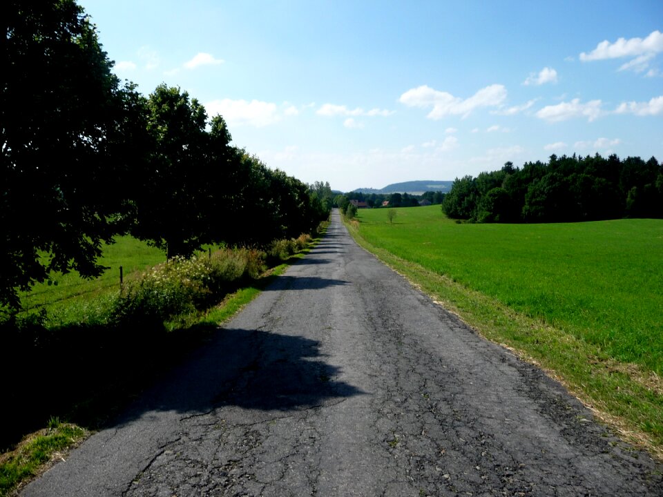 Green forests nature