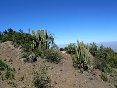 Dry hot blue sky