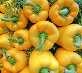 Healthy market vegetables