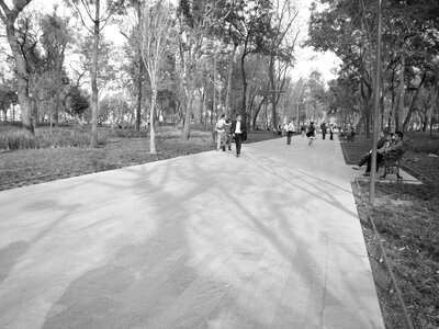 Park path afternoon