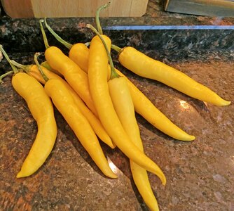 Yellow vegetables healthy photo