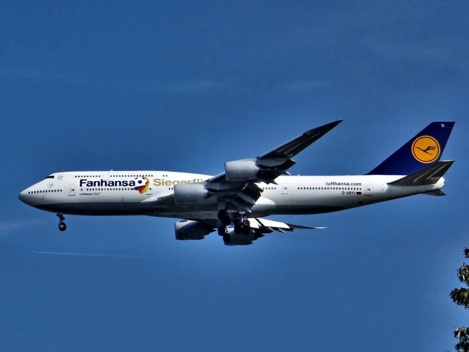 Airline world cup 2014 team