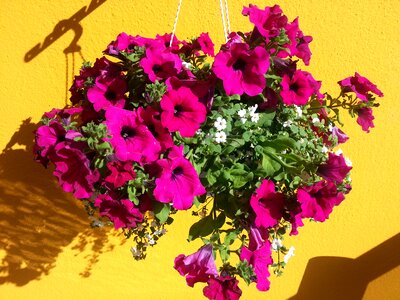 Summer beautiful balcony