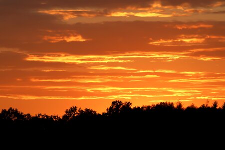 Sunset edge of the woods sky