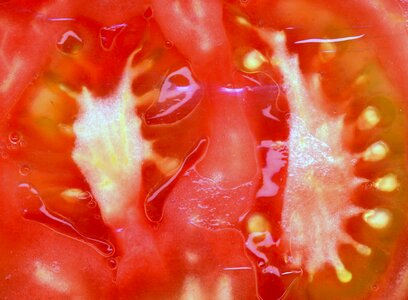 Fresh vegetable organic