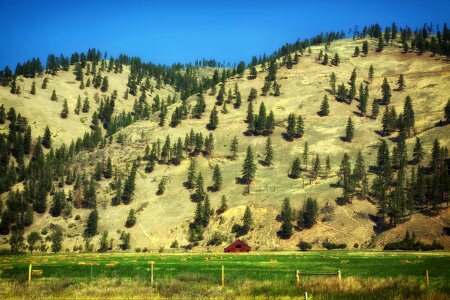 Rural mountains trees photo