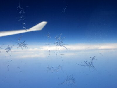 Frost ice wing photo