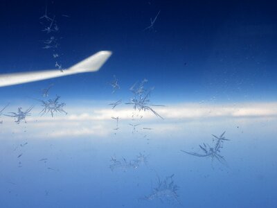Frost ice wing