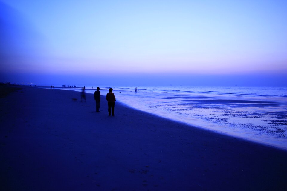 Beach dawn visitors