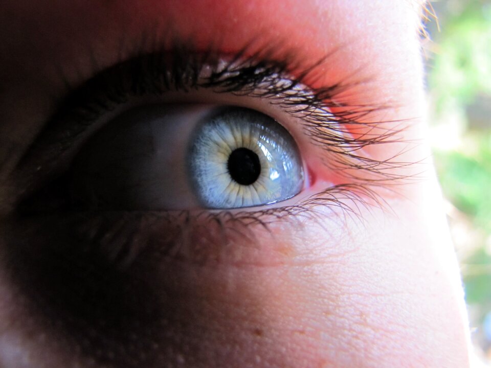 Blue eye macro szupermakró