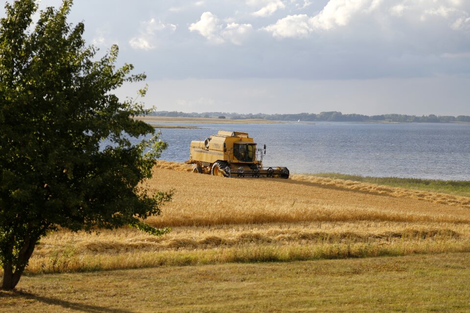 Fiord nature agriculture photo