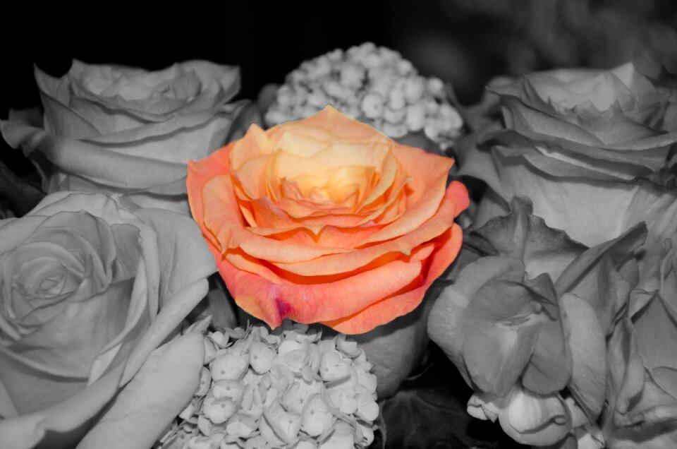 Bloom flower bridal bouquet