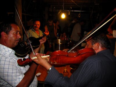 Plays music revel party