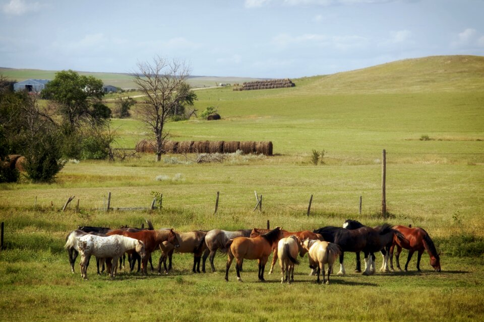 Rural landscape scenic