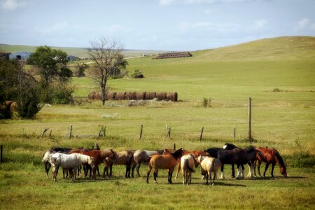 Rural landscape scenic
